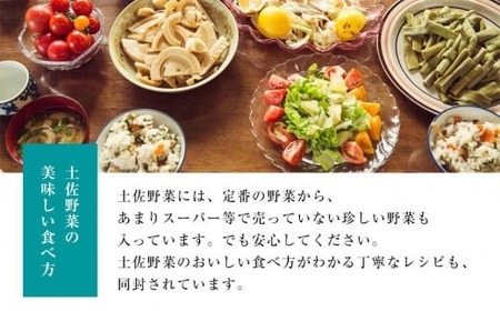 旬の土佐野菜セット 無農薬生姜100g付き 野菜