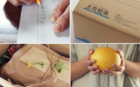 やさい 12回定期便 土佐野菜セット やさい