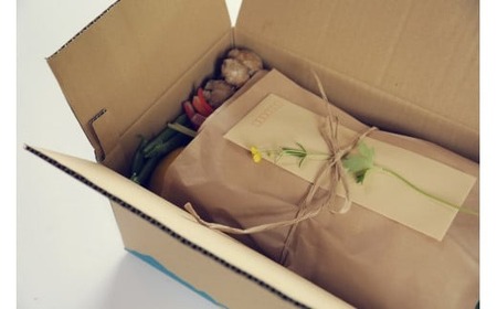 やさい 12回定期便 土佐野菜セット やさい