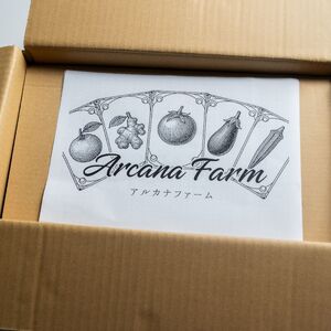 【野菜】野菜セット 8~11品