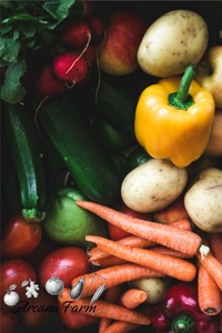 【野菜】野菜セット 8~11品