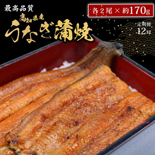 【12回定期便】 うなぎ蒲焼 約170g×2尾 うなぎ蒲焼