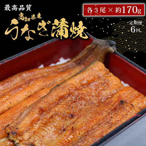 【6回定期便】 うなぎのかば焼き 約170g×3尾 ウナギのかば焼き