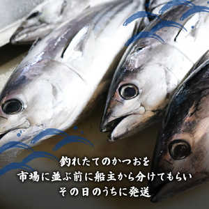 【訳あり】 【冷凍】 かつお藁焼きタタキ 500g 鰹 かつお