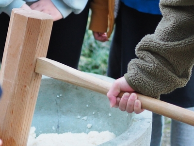 令和7年度 もち米 玄米 10キロ 数量限定 減農薬栽培 もち米