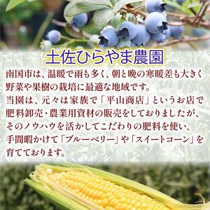 【全2回定期便】完熟生ブルーベリー2種（サザンハイブッシュ系、ラビットアイ系）各600g（100ｇ×6パック） | フルーツ 果物