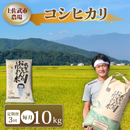 【3回定期便】令和7年度産 こしひかり 10㎏ 定期便 白米 精米