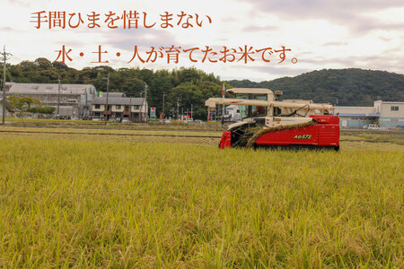 定期便 令和7年度産 【6回定期便】 玄米 コシヒカリ 10㎏  