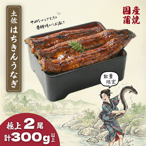 限定 国産 鰻 土佐はちきん うなぎ 蒲焼き 150g以上×2尾 | 無投薬 特上 極上 めす 贈答 南国市