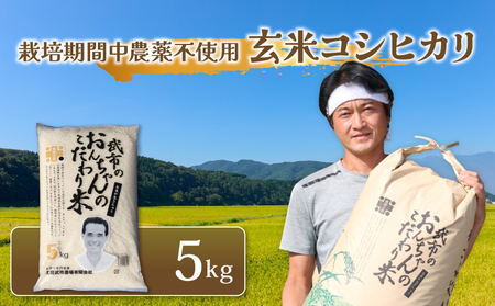 特別栽培米 玄米 コシヒカリ 5キロ 栽培期間中農薬不使用