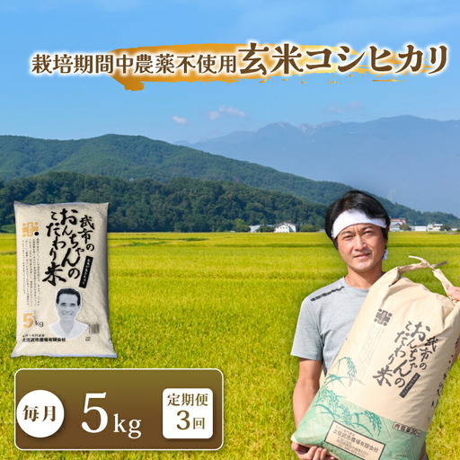 特別栽培米 栽培期間中農薬不使用 【3回お米定期便】玄米 コシヒカリ 数量限定 5キロ
