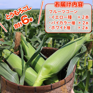 【先行予約】とうもろこし 3種食べ比べ 6本 (イエロー バイカラー ホワイト) とうもろこし フルーツコーン