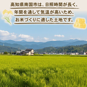 【玄米】令和7年度 南国市産 コシヒカリ 玄米 10kg