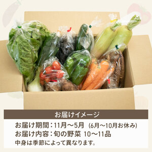 【野菜】新鮮野菜セット ( 10～11品 ) 
