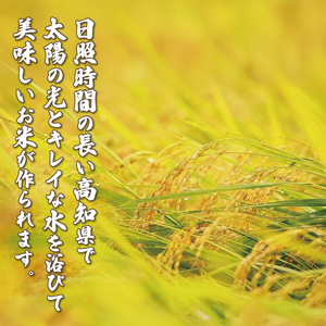 玄米 コシヒカリ 5キロ 5㎏ 数量限定