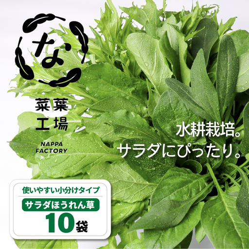 サラダほうれん草 サラダセット | ほうれんそう 水耕 栽培 新鮮 葉物 野菜 ドレッシング 南国市