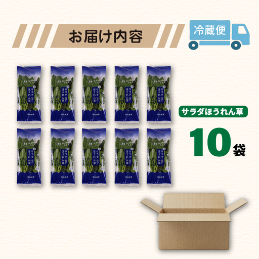 サラダほうれん草 サラダセット | ほうれんそう 水耕 栽培 新鮮 葉物 野菜 ドレッシング 南国市