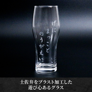 高知家グラスセット【コップ 食器 日用品 ガラス ビール ギフト 人気】