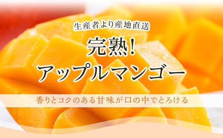 【先行予約】高知県南国市産／完熟アップルマンゴー(2個～3個）（2025年6月～発送）【フルーツ マンゴー くだもの マンゴー デザート マンゴー 高評価 マンゴー 厳選 マンゴー ギフト マンゴー 贈り物 マンゴー 人気 おすすめ】