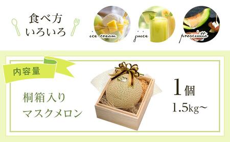 マスクメロン 厳選桐箱入り 1玉 | 西島園芸団地メロン