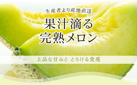 高知県南国市産／贈答用マスクメロン（1個）【メロン フルーツメロン くだもの メロン デザート メロン 高評価 メロン 厳選 メロン 高級 メロン ギフト メロン 贈り物 メロン  人気 おすすめ】