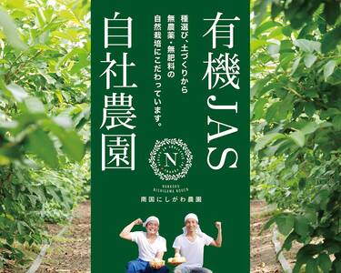 国産有機栽培グァバ葉100％使用 土佐國グァバ茶（2g×10包）