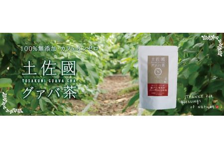 国産有機栽培グァバ葉100％使用 土佐國グァバ茶（2g×30包）