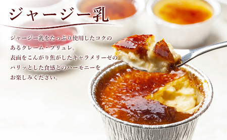 生熟チーズ（ホール）＆アイスブリュレ【プリン ケーキ 詰め合わせ ブリュレ セット デザート おやつ お菓子 スウィーツ 贈答 贈り物 ギフト  人気 おすすめ 高知県 南国市】