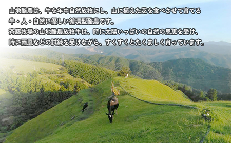 【ドルチェかがみ】南国斉藤牧場ノンホモジナイズ山地酪農牛乳ジェラート