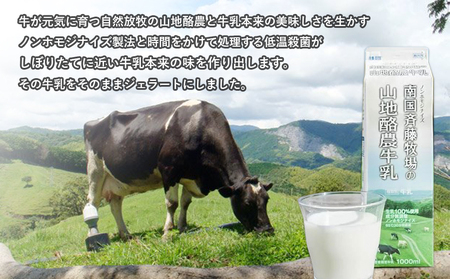 【ドルチェかがみ】山地酪農牛乳ジェラート（110ml×6個) ＼ 低温殺菌ノンホモジナイズ ジェラート ／ 高知県 南国市