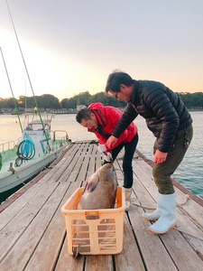 幻の天然クエ直送 クエ鍋用400ｇ 高知県南国市 ふるさと納税サイト ふるなび