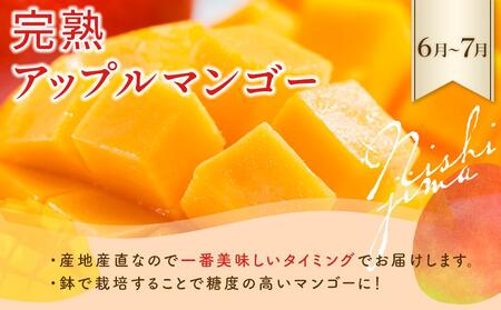 【年3回 定期便】季節のフルーツセット マンゴー メロン  スイカ マンゴー