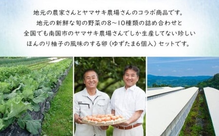 【3ヶ月毎 全4回】土佐の季節野菜と卵セット 野菜 定期便