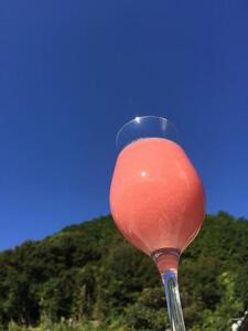 冷凍グアバピューレ【国産 グアバ グァバ ピューレ トロピカル フルーツ 果物 南国  人気 おすすめ 高知県 南国市】