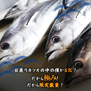 極み鰹刺身 1000g 鰹