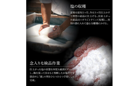 銀象ソルト Ginzo-Salt 星屑ソルト 100g 塩 しお 調味料 天日塩 完全天日塩 国産 高知県産 ソルト ミネラル 健康 料理 調理 お塩 塩 美味しい 天然 塩 高知県