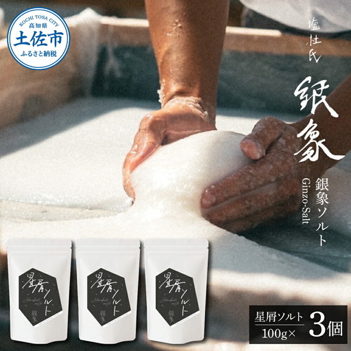 銀象ソルト Ginzo-Salt 星屑ソルト 100g×３個セット 合計300g