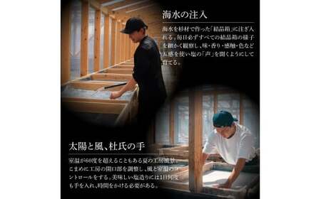 銀象ソルト Ginzo-Salt お試しサイズ３種類セット 