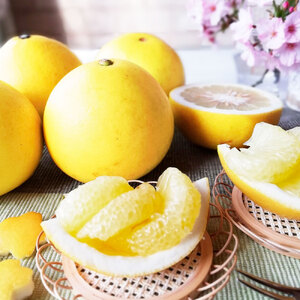 【先行予約受付】文旦 約5kg 土佐文旦 大玉 数量限定 3Lサイズ 8～9個