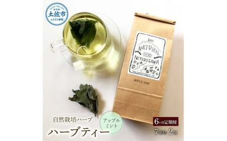 《6ヵ月定期便》ハーブ仁淀川産 自然栽培ハーブ アップルミント ハーブティー ティーバッグタイプ ７袋入り×2個セット
