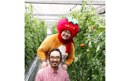 カラフルミニトマトの宝石箱 （約2kg） 