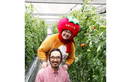 フルーツトマト食べくらべセット 1kg 