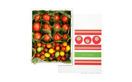 フルーツトマト食べくらべセット 1kg 