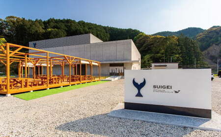 酔鯨 純米大吟醸 丞（Ｊｏｈ）720ml 