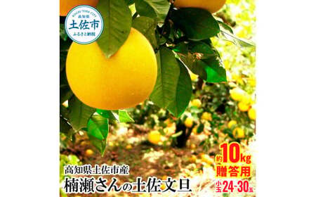 高知県土佐市産 楠瀬さんの土佐文旦 贈答用小玉 約10kg 期間限定  M～Lサイズ 24～30玉