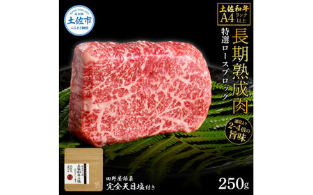 土佐和牛 特選ロースブロック250g 田野屋銀象完全天日塩1P付き 長期熟成肉