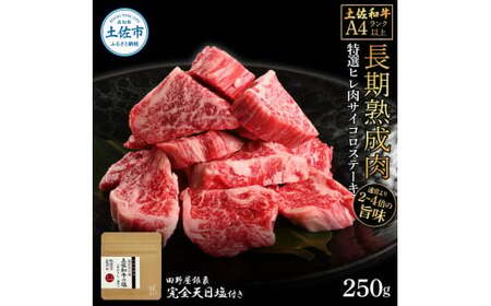 土佐和牛 特選ヒレ肉サイコロステーキ250g 田野屋銀象完全天日塩1P付き 特選 長期熟成肉