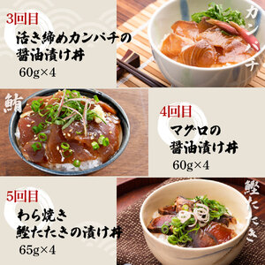 【5回定期便】土佐の海鮮丼セット（ブリ・タイ・カンパチ・マグロ・カツオ）各4Pずつ