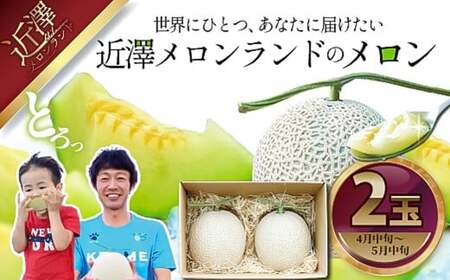 先行予約 メロン ２玉入り（1玉約1.4kg～1.8kg）青肉 2026年春発送 期間限定