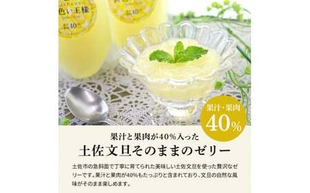 土佐文旦ゼリー『まるごとぶんたん』10本セット